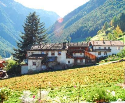 Aparthotel Alpenrose Martello Exteriér fotografie